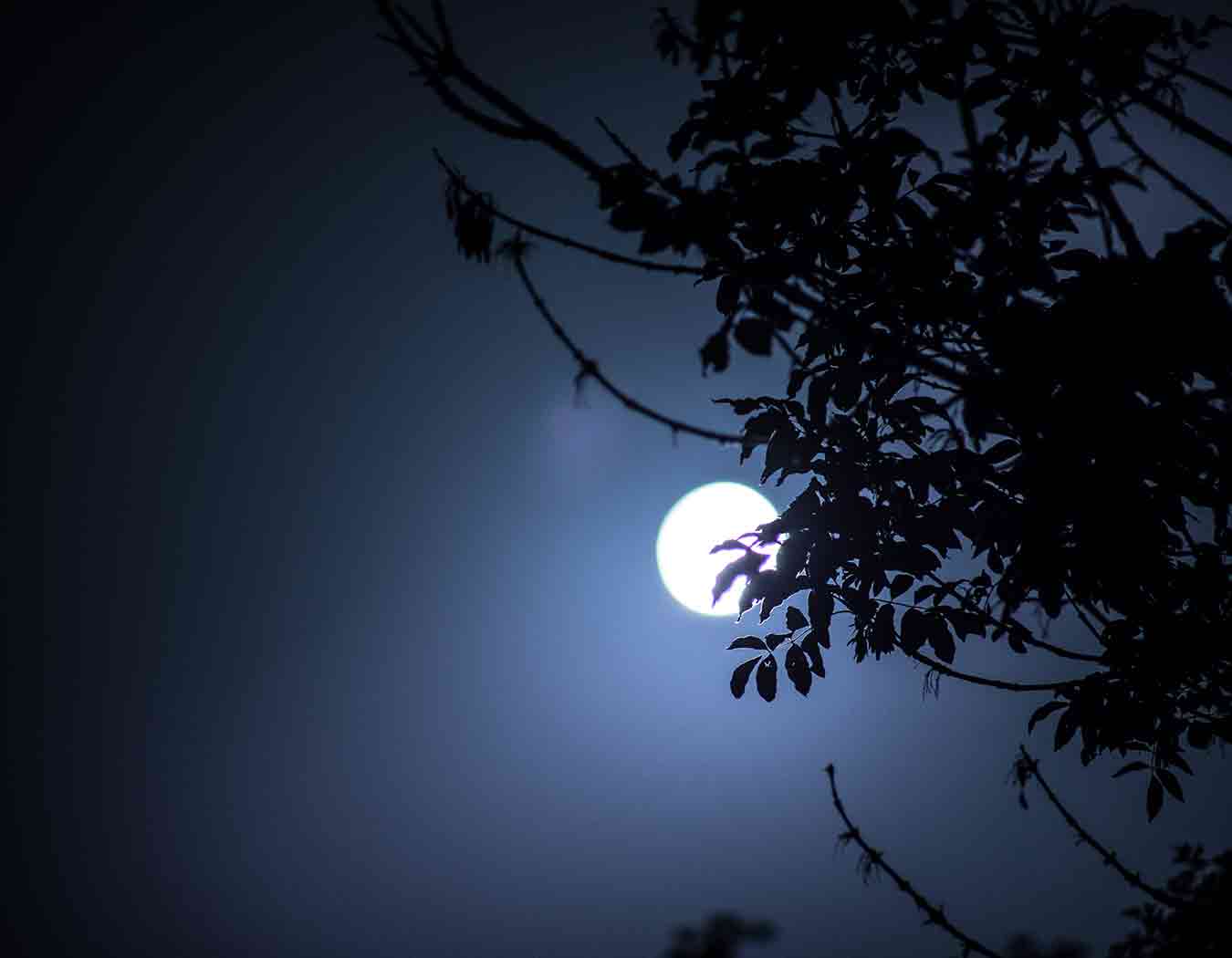 luna llena