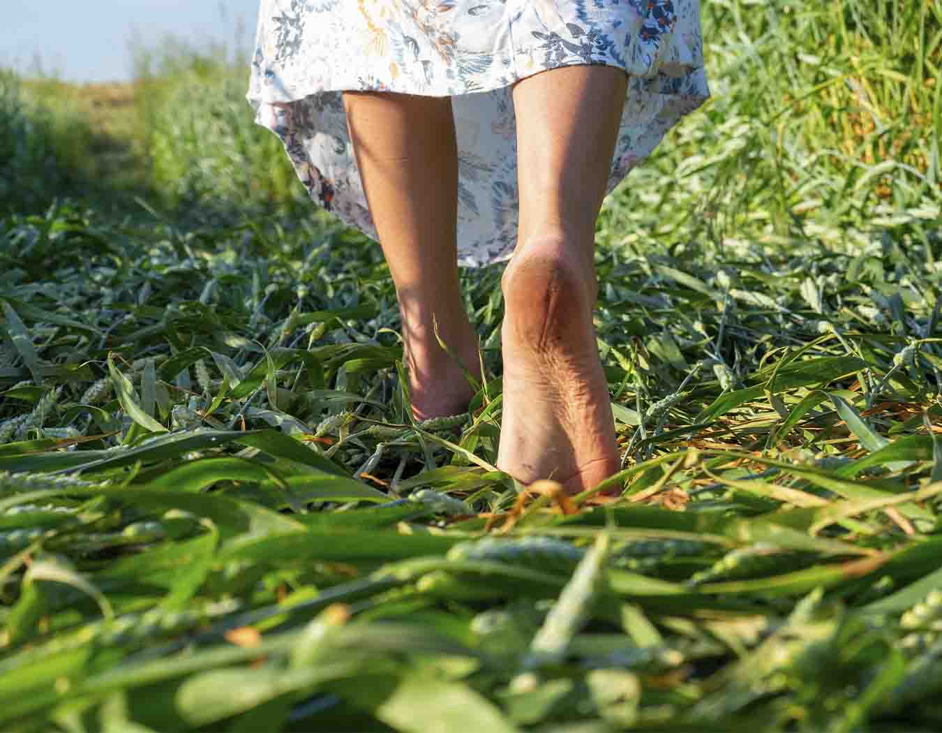 primeros pasos en el huerto