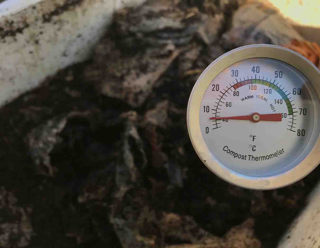 vermicompostaje en invierno